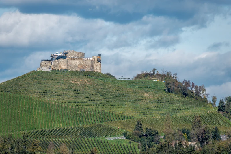 Taggenbrunn Castle & Winery — St. Veit an der Glan · Austria